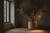 Brussels apartment corner in north light with deep window reveal, dark plaster walls, and a Maison Moya artificial olive tree as the focal piece