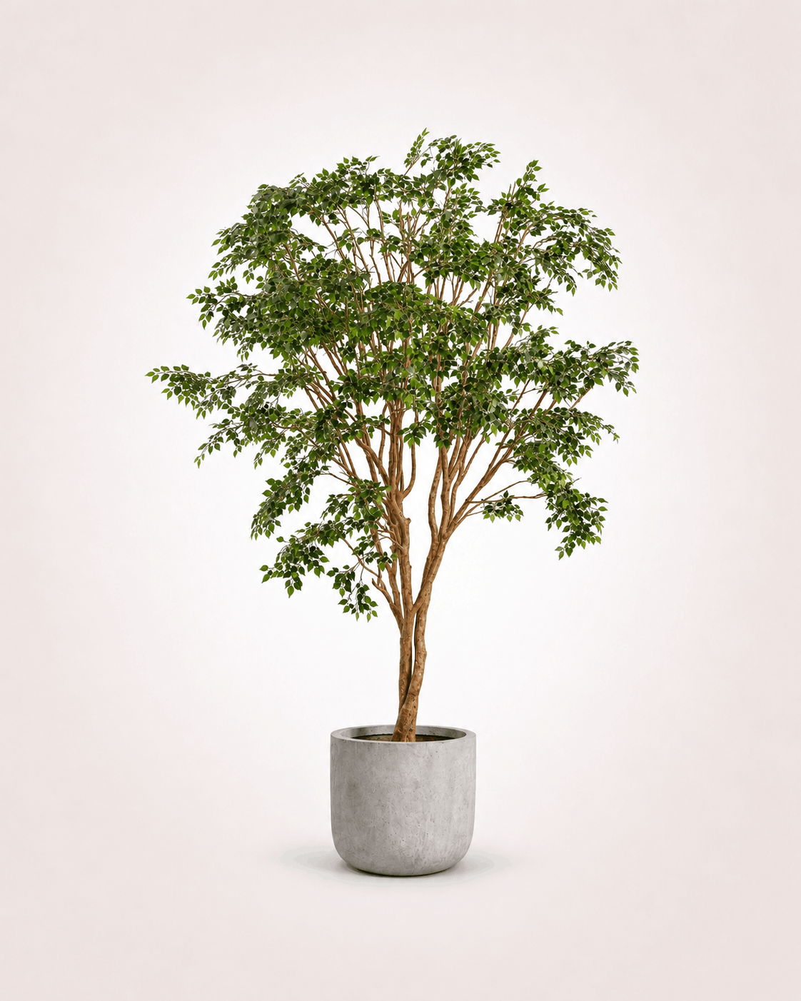 Banian XL Arbre artificiel