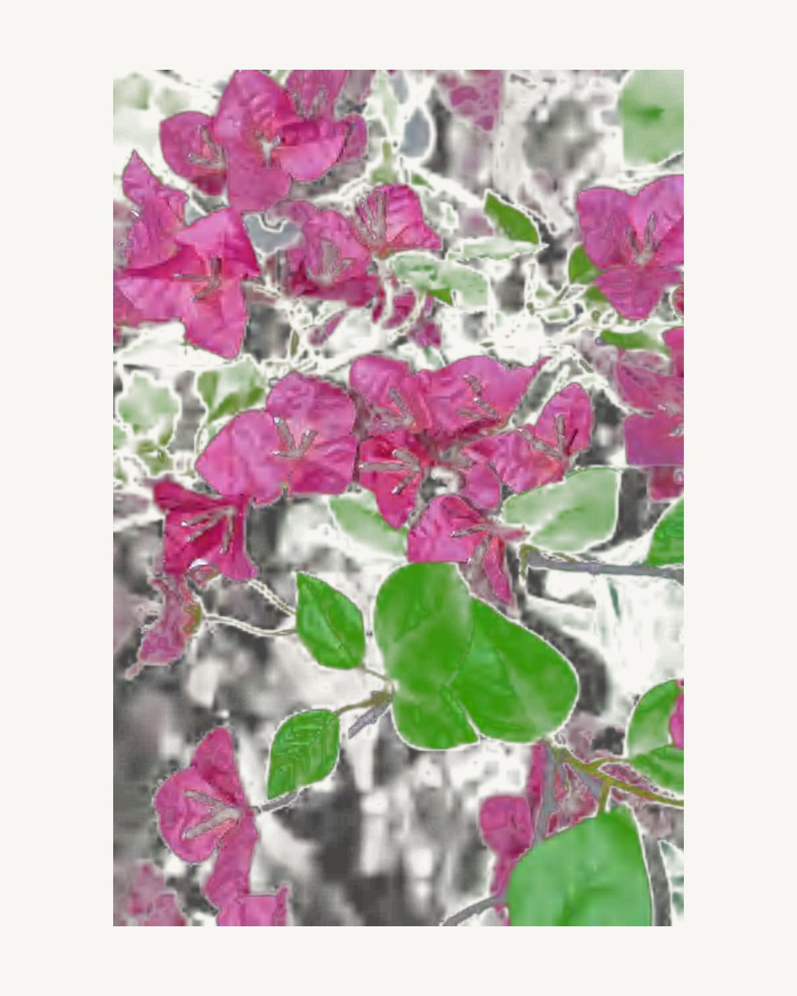 Arezzo Artificial Bougainvillea Tree, full product studio view in the included nursery pot