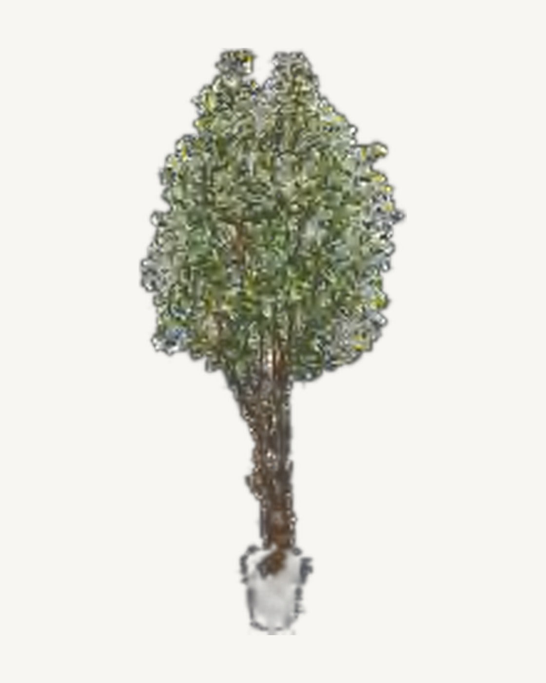 Arles Artificial Olive Tree, full product studio view in the included nursery pot