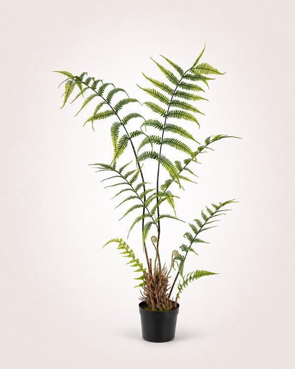 Nephrolepis Plante artificielle