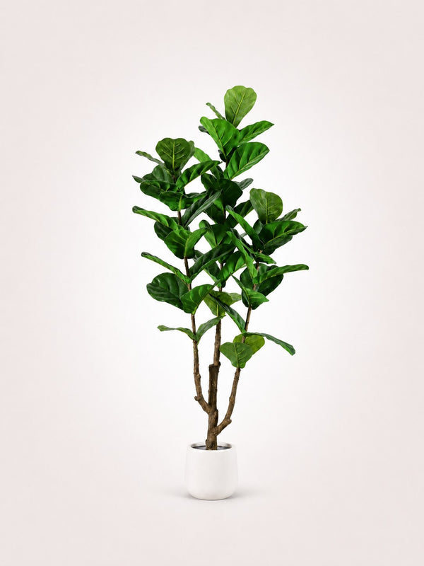 Ficus Lyrata Arbre artificiel