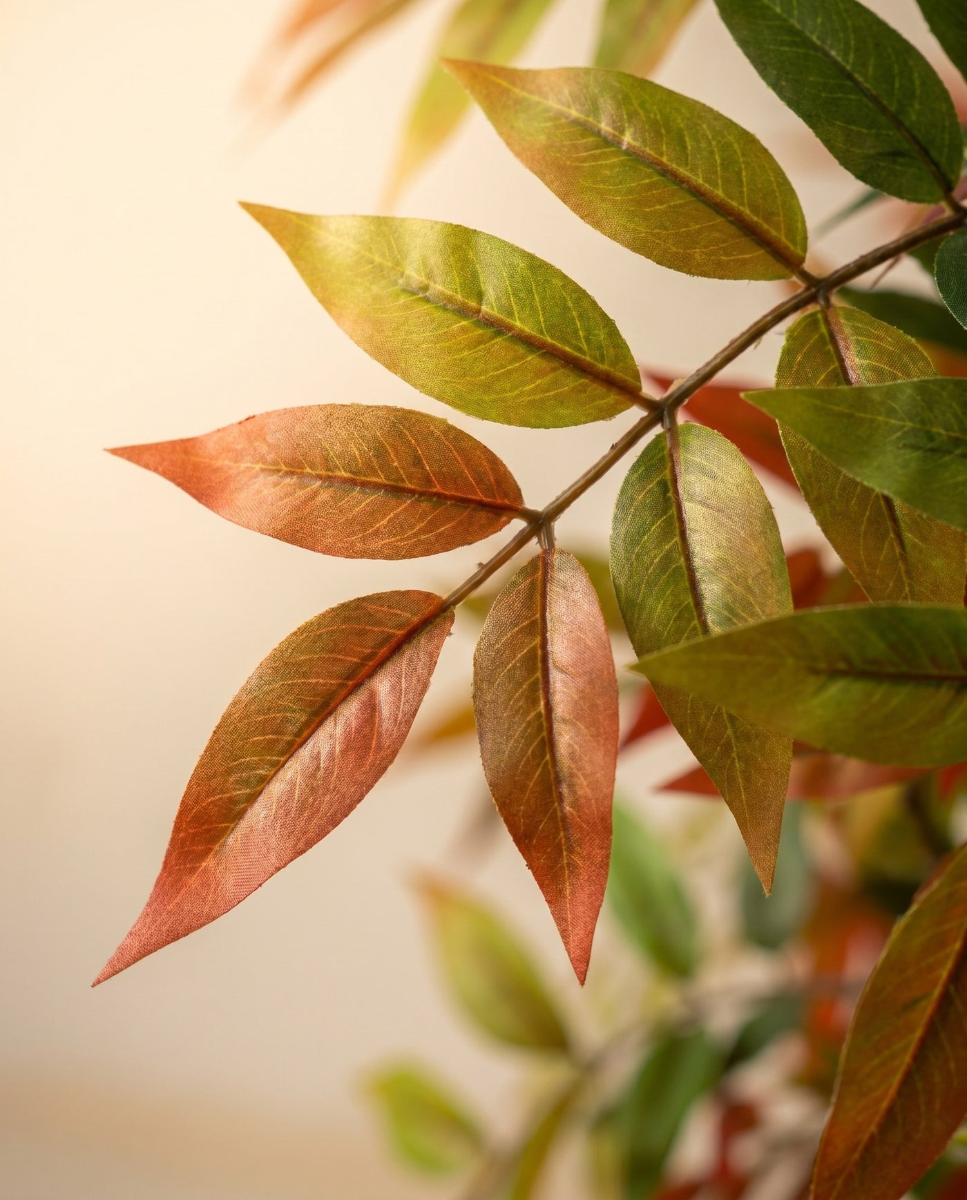 Maison Moya - Lacquer Tree Realistic Faux Tree - 03 closeup-top