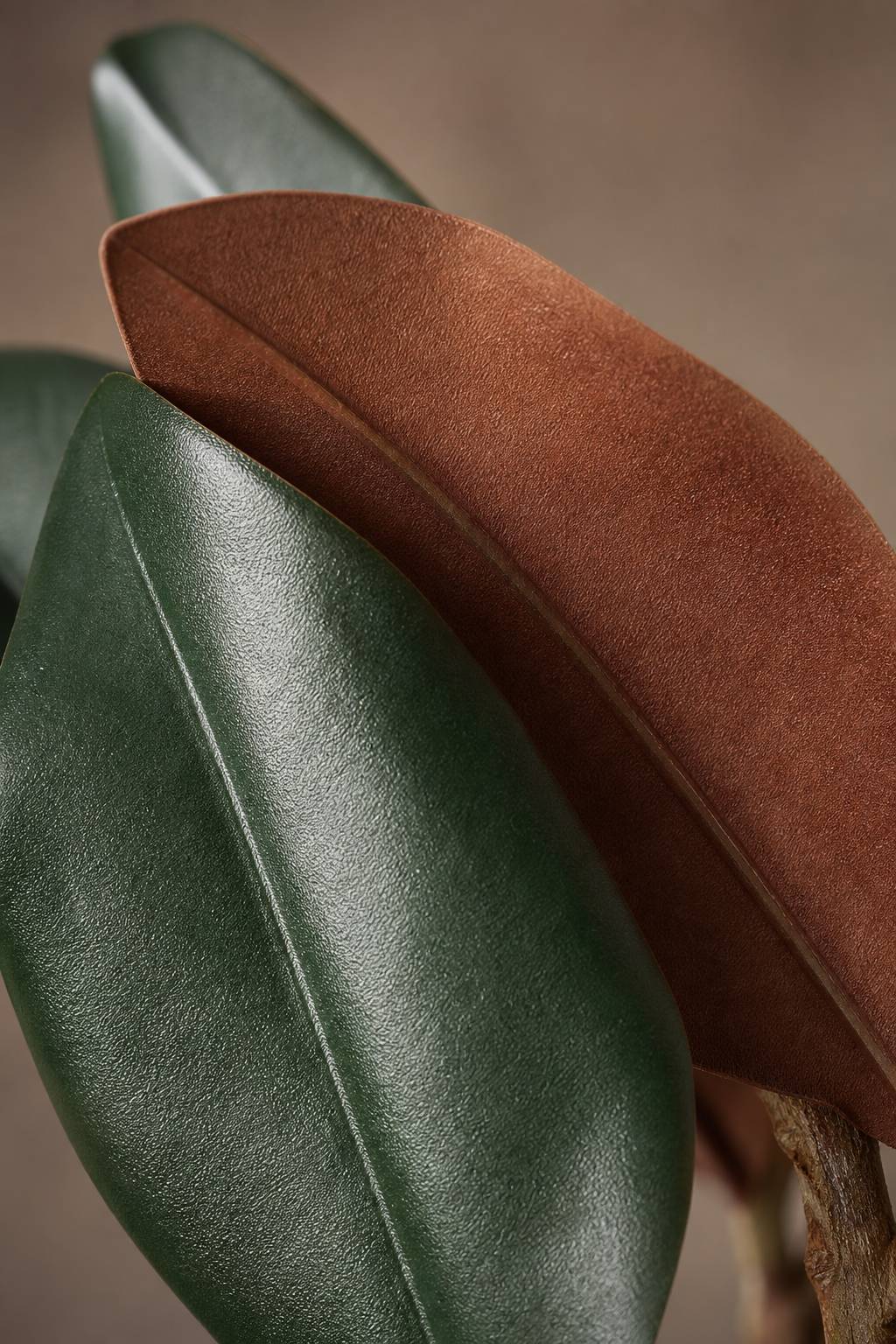 Maison Moya - Magnolia Flower Tree Faux Indoor Tree - closeup surface