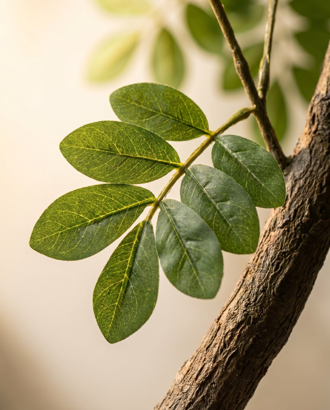 Maison Moya - Osmanthus Faux Indoor Tree - 03 closeup-top