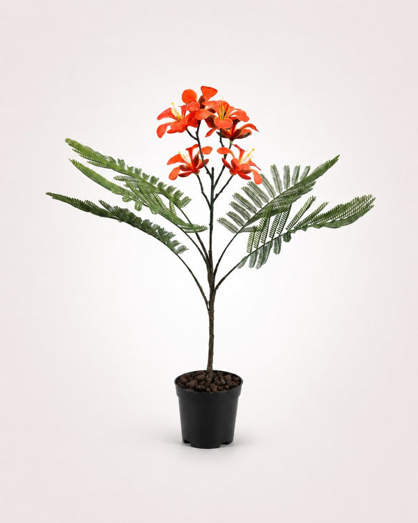 Royal Poinciana Kunstboom