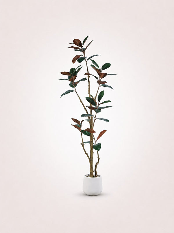 Ficus Elastica Kunstboom
