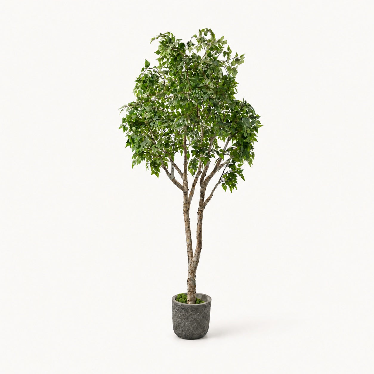 Árbol artificial Abedul