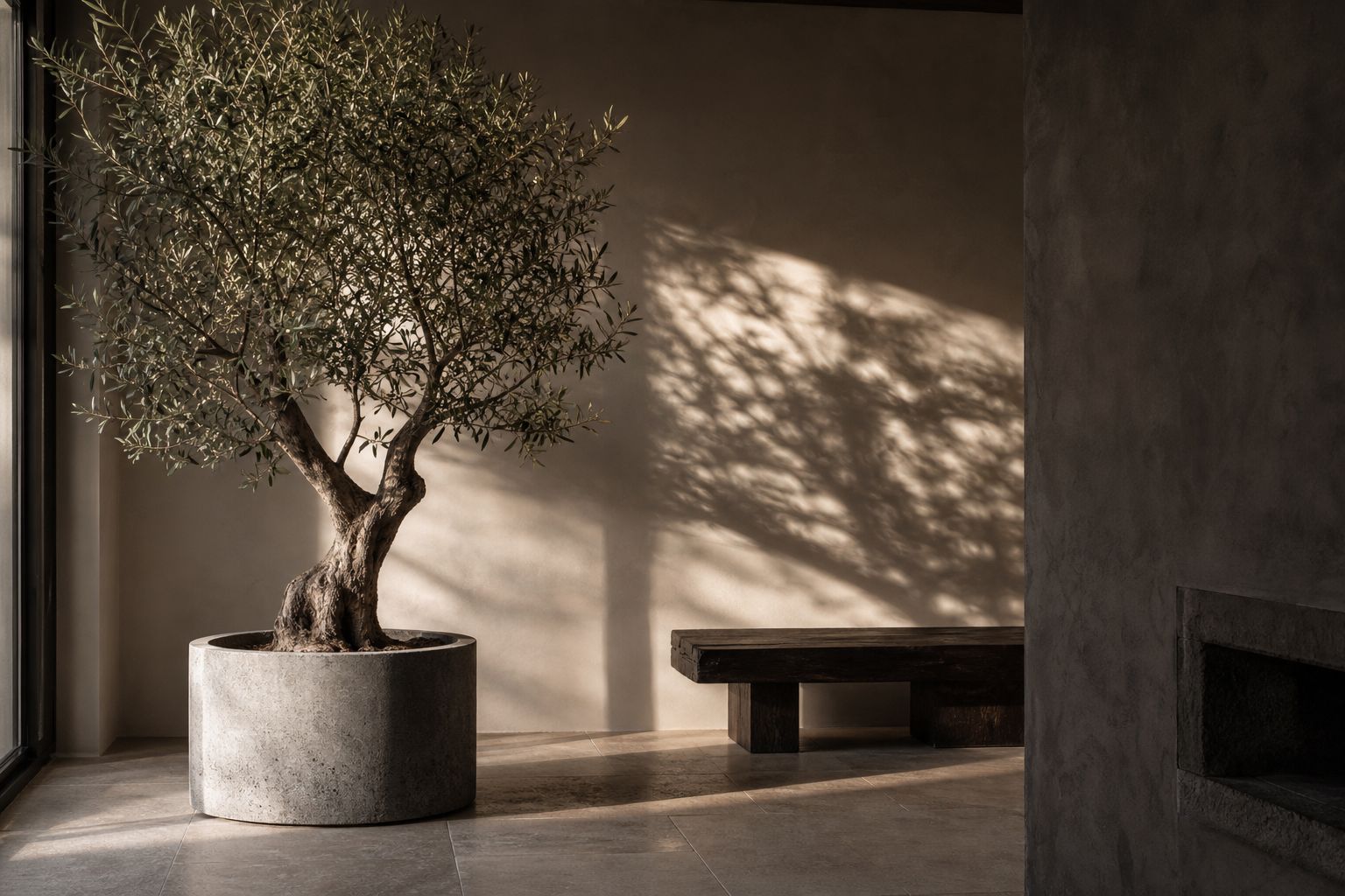 Maison Moya
