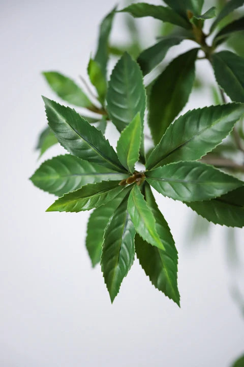 Pieris Japonica Faux Indoor Plant