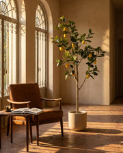 Maison Moya - Lemon Tree Faux Fruit Tree - 01 lifestyle