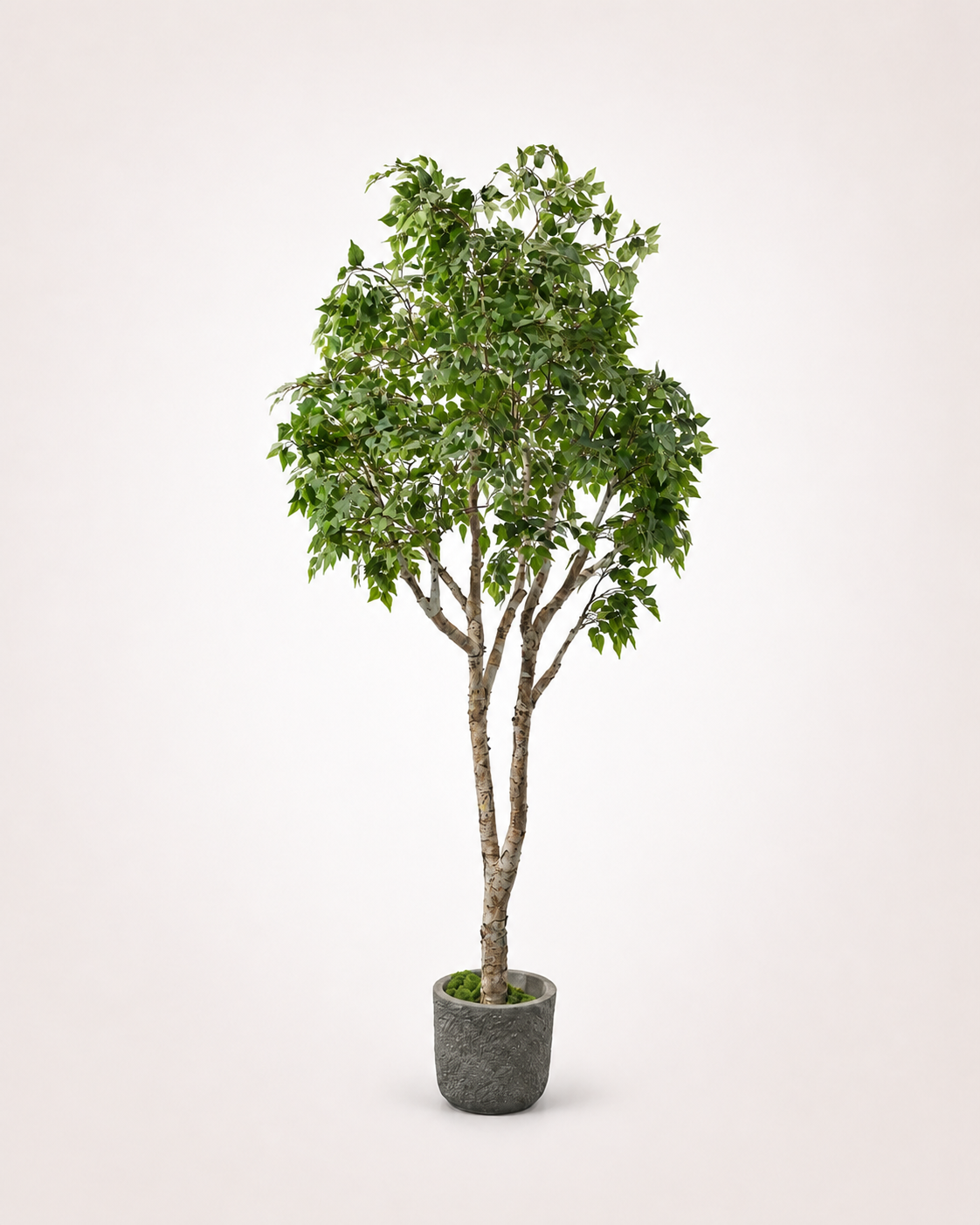 Bouleau Arbre artificiel
