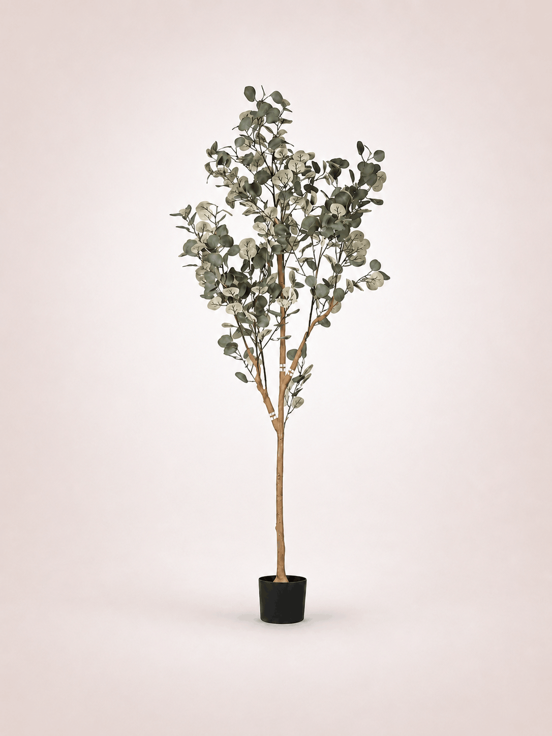 Eucalyptus Arbre artificiel