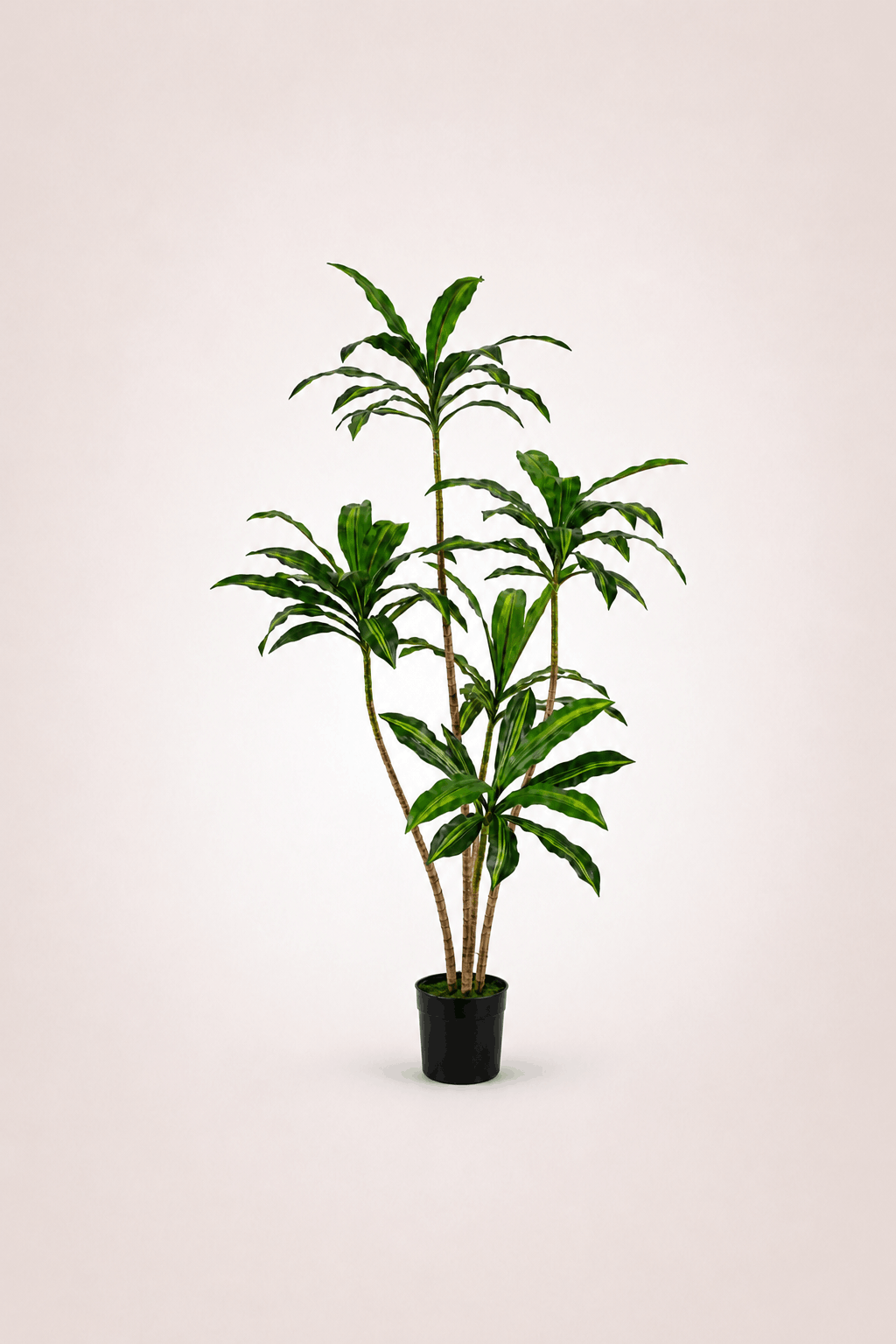 Dracaena Arbre artificiel