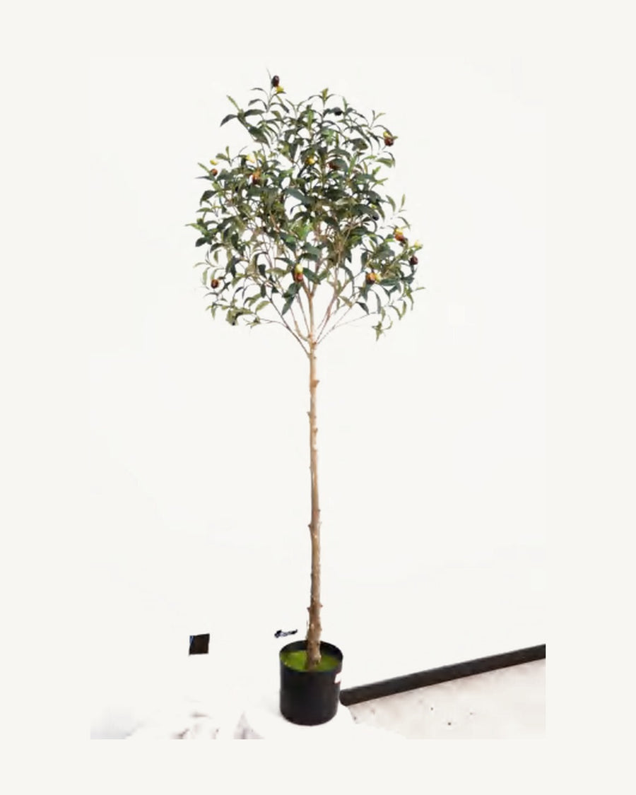 Ajaccio Artificial Olive Tree, 63 in