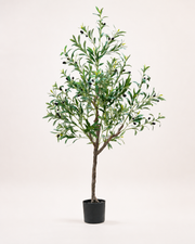 Arezzo Artificial Olive Tree, full product studio view in the included nursery pot