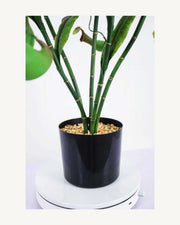 Arezzo Artificial Pitcher Plant, 39.4 in, full product studio view in the included nursery pot