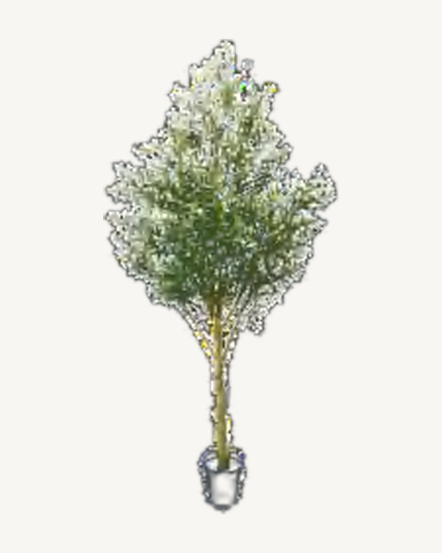 Assisi Artificial Olive Tree, 122 in