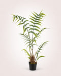Nephrolepis Plante artificielle