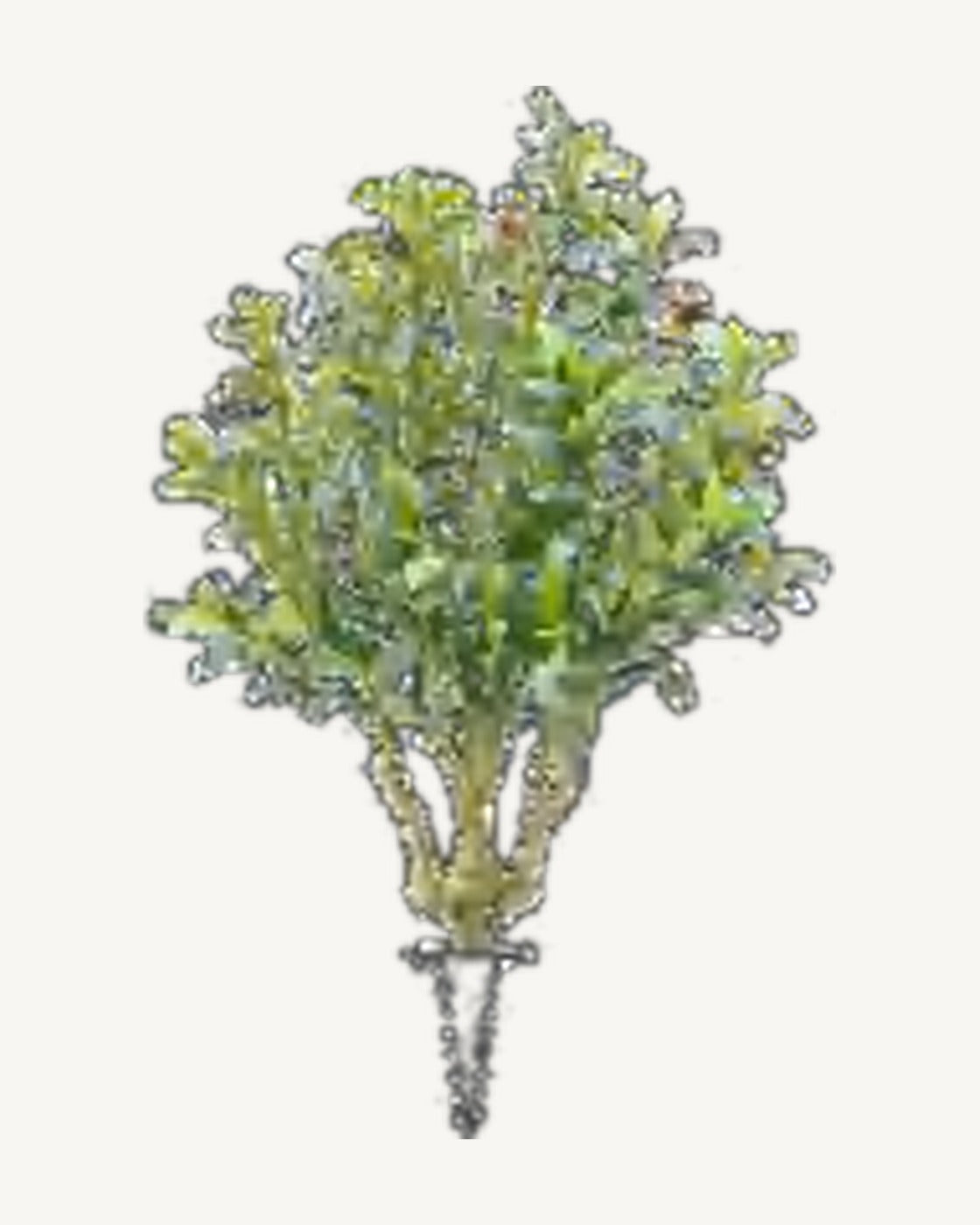 Cadaques Artificial Olive Tree, full product studio view in the included nursery pot