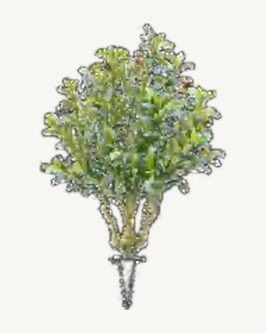 Cadaques Artificial Olive Tree, full product studio view in the included nursery pot