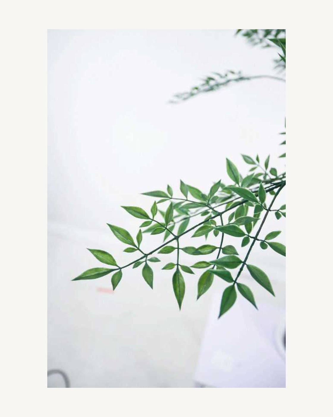 Capri Artificial Nandina Tree, full product studio view in the included nursery pot