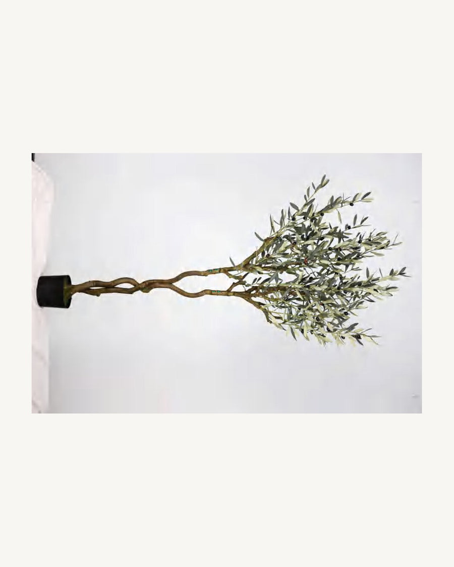 Comporta Artificial Olive Tree