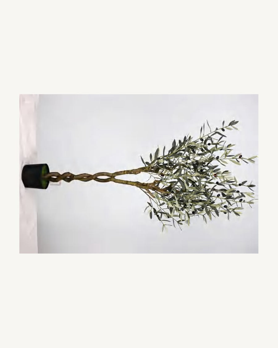 Comporta Artificial Olive Tree