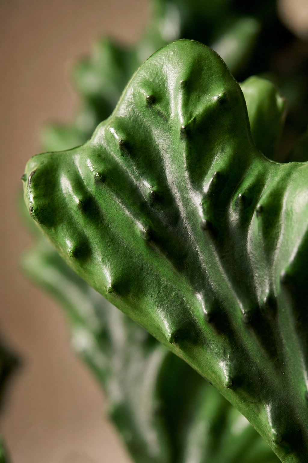 Maison Moya - Coral Cactus Sculptural Faux Plant - closeup detail