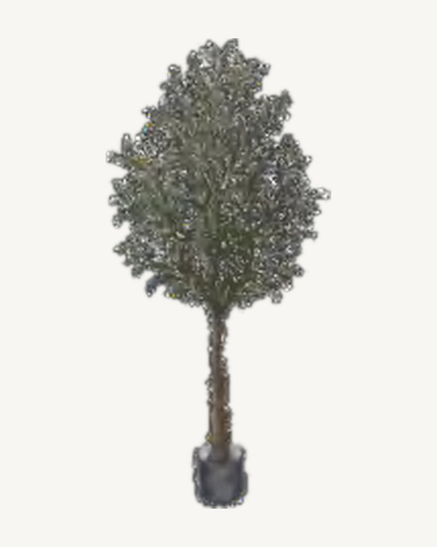Cortona Artificial Olive Tree, full product studio view in the included nursery pot