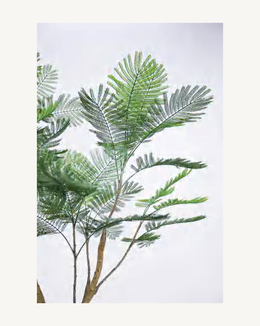 Cortona Artificial Phoenix Palm