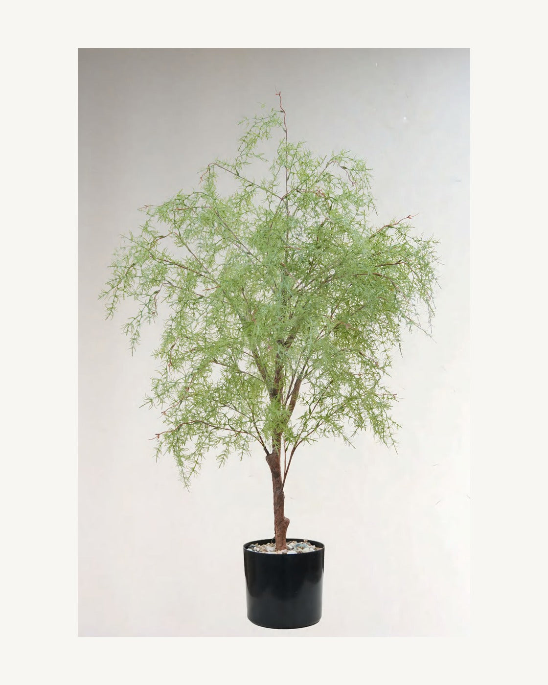 Ligurian Artificial Botanical Grass, full product studio view in the included nursery pot