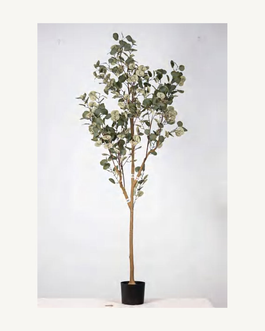 Ligurian Artificial Eucalyptus Tree, full product studio view in the included nursery pot
