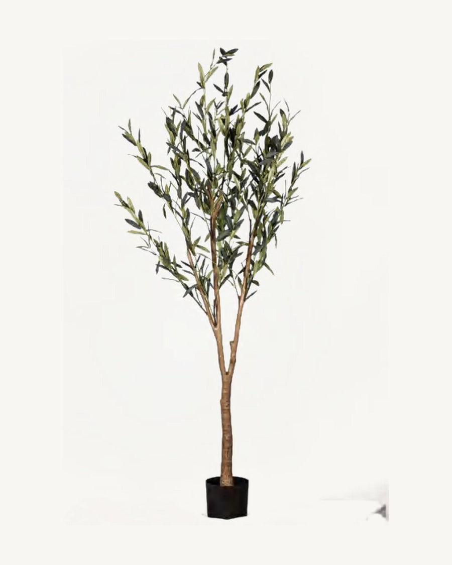 Lisboa Artificial Olive Tree, 70.8 in