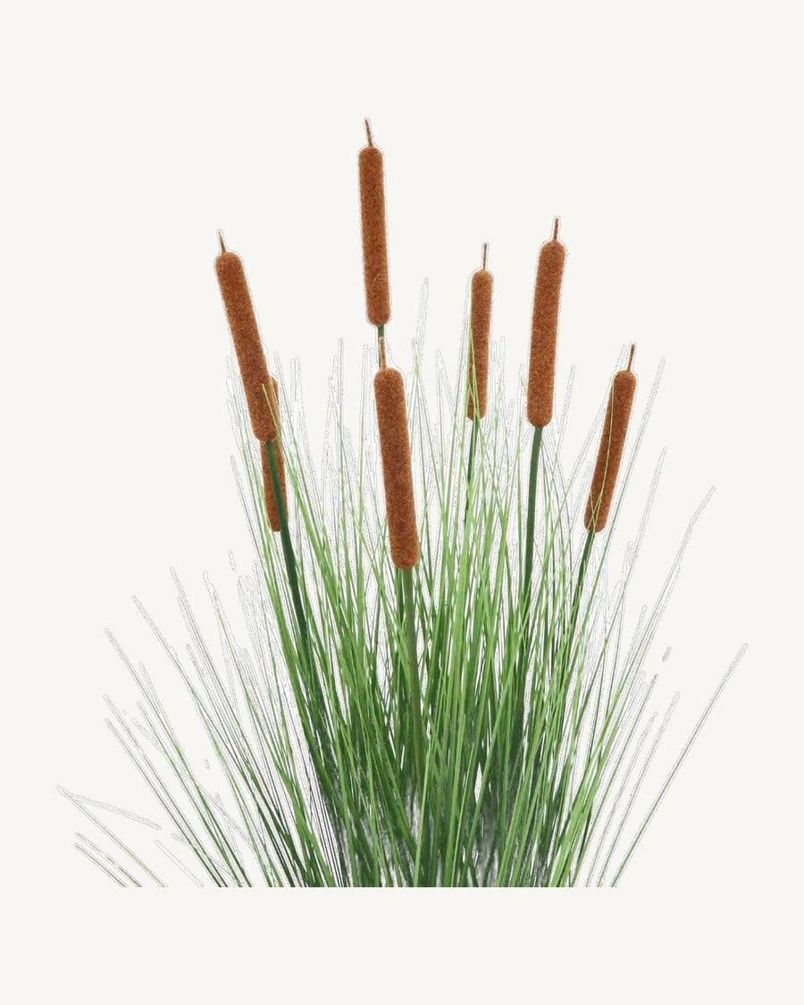 Lucca Artificial Cattail Grass, 35.4 in