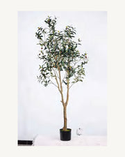 Madeira Artificial Olive Tree, 70.9 in, full product studio view in the included nursery pot