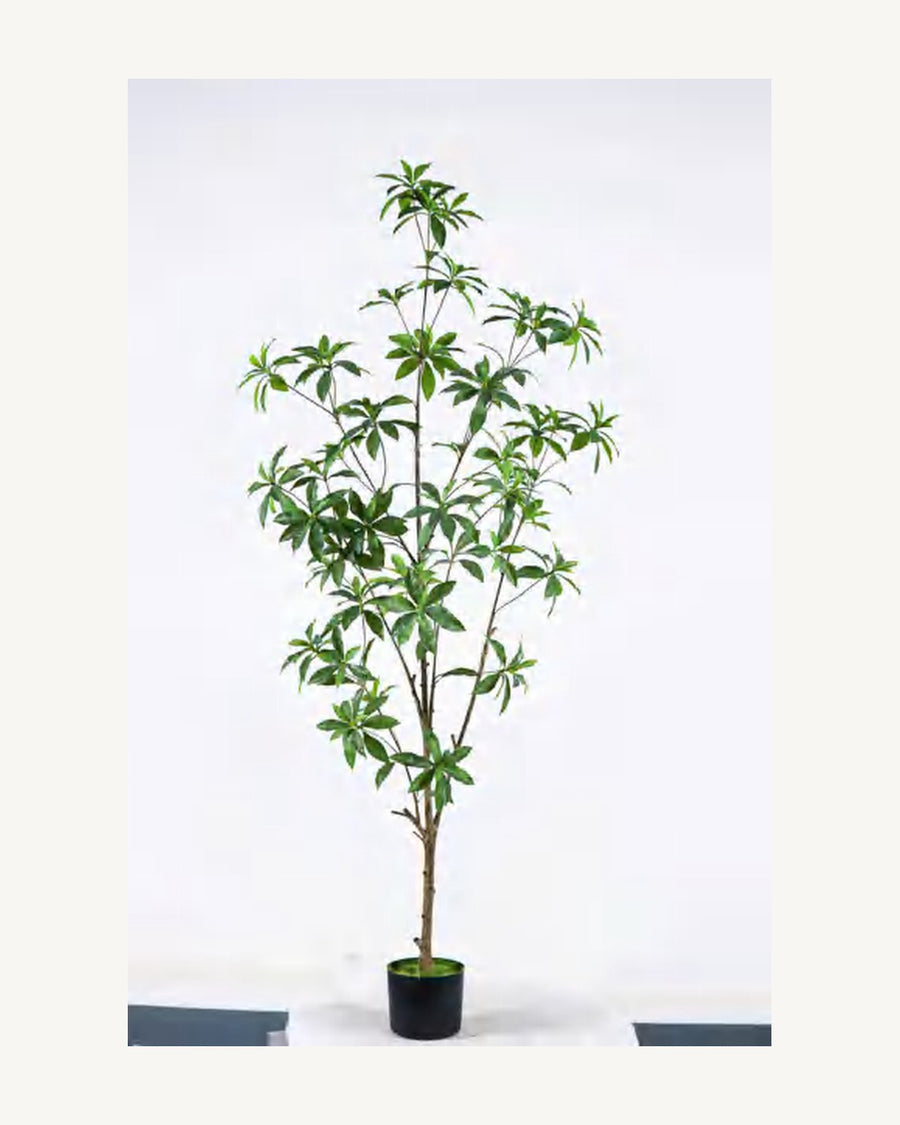 Maremma Artificial Pieris Tree, 63 in