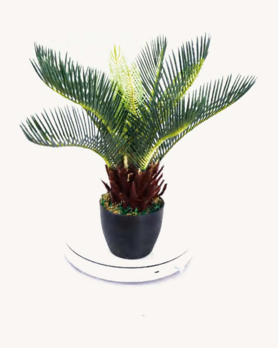 Maremma Artificial Sago Palm, 13.7 in, full product studio view in the included nursery pot