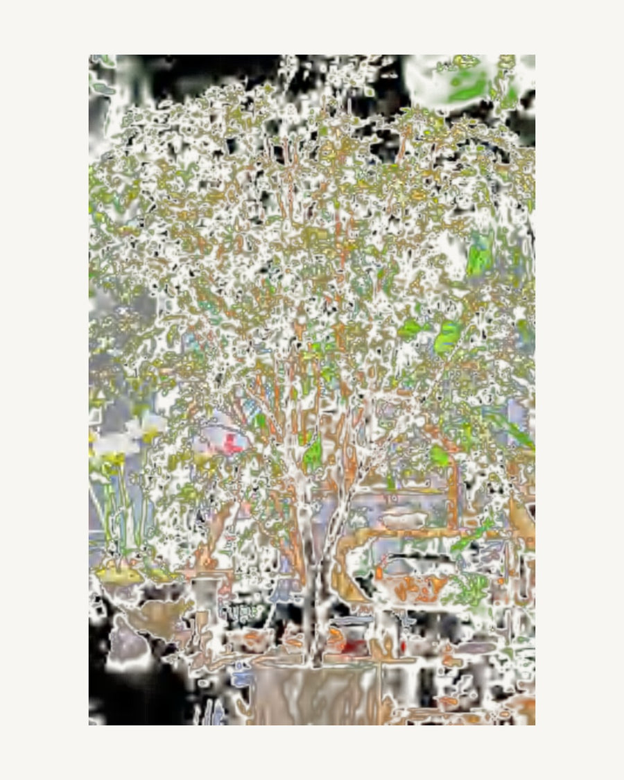 Matera Artificial Banyan Tree, 137.7 in