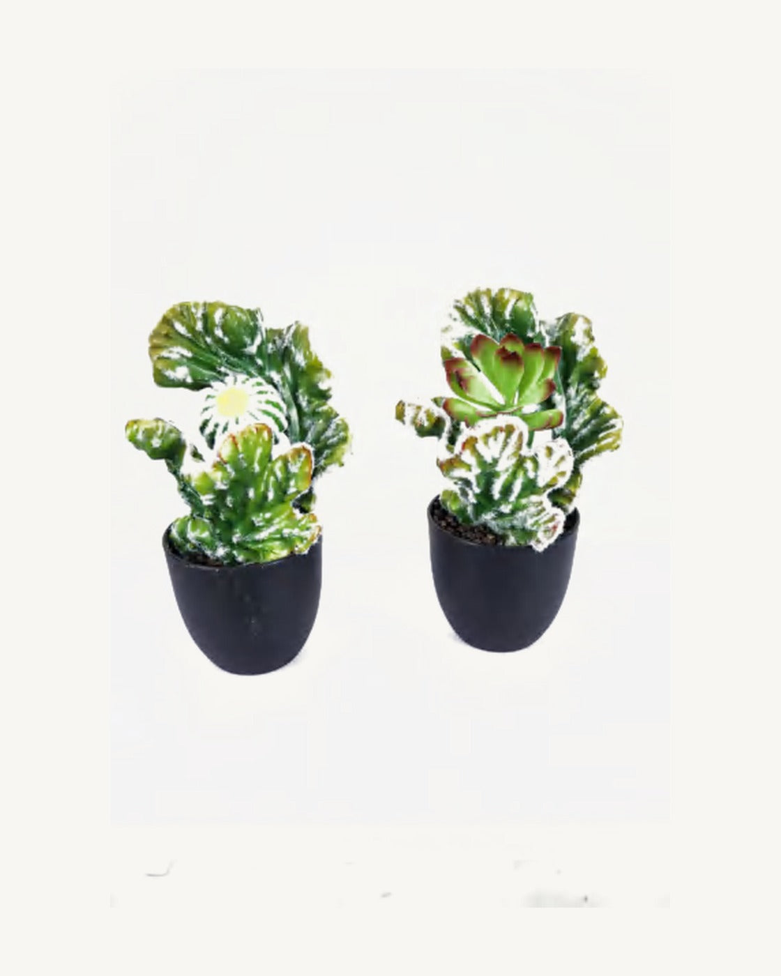 Matera Artificial Coral Cactus, full product studio view in the included nursery pot