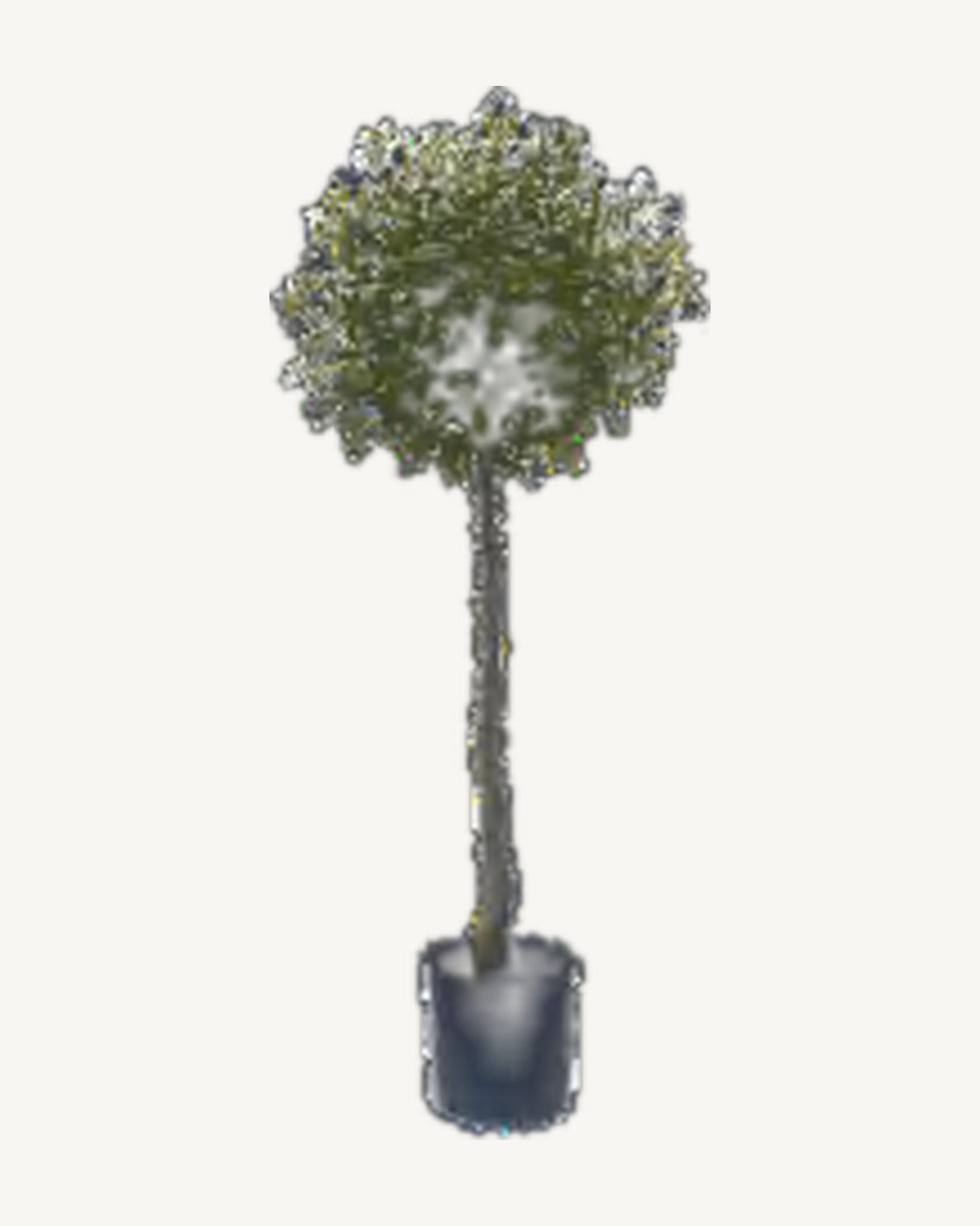 Matera Artificial Olive Tree, full product studio view in the included nursery pot