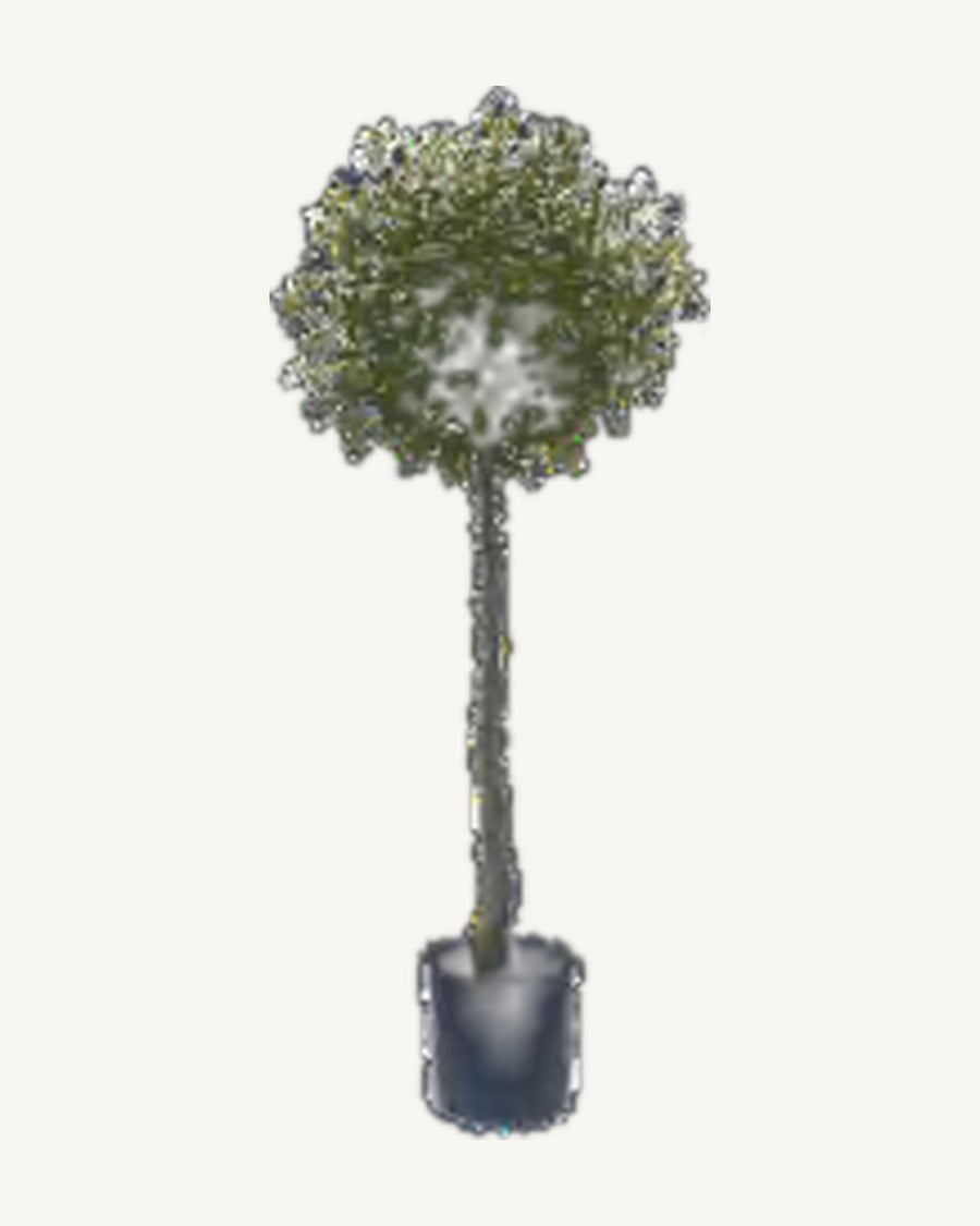 Matera Artificial Olive Tree, full product studio view in the included nursery pot