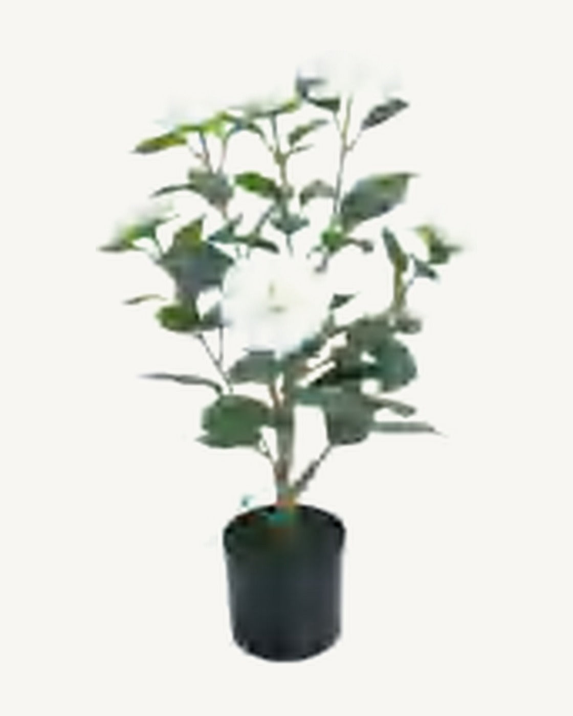 Mentone Artificial Blossom Tree, 24.8 in, full product studio view in the included nursery pot