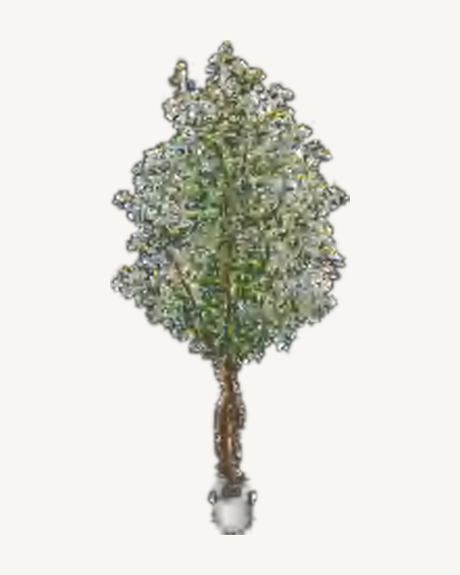 Mentone Artificial Olive Tree, 86.6 in