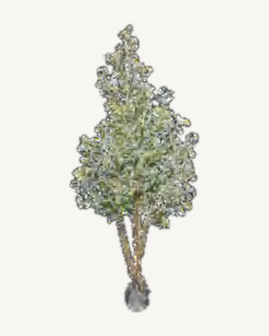 Monopoli Artificial Olive Tree, 82.7 in
