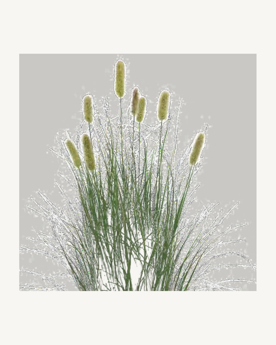 Noto Artificial Cattail Grass, 35.4 in