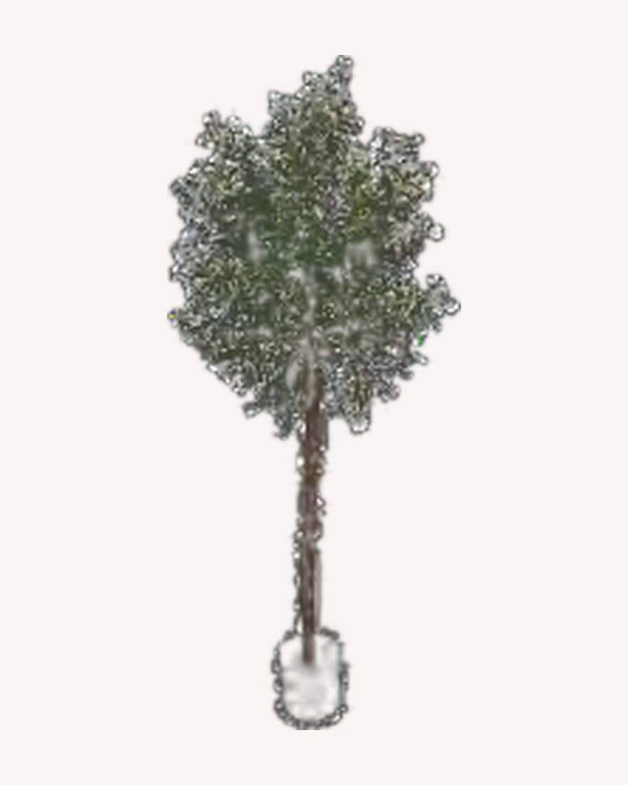 Noto Artificial Olive Tree, full product studio view in the included nursery pot