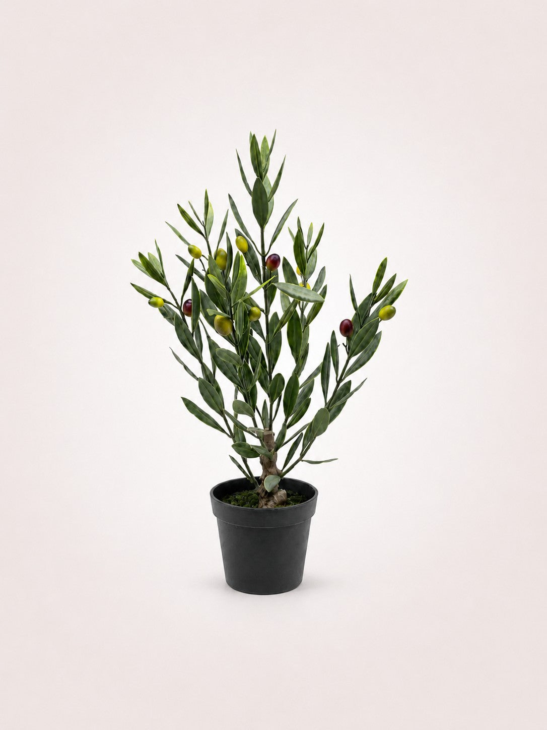 Maison Moya olive-mini