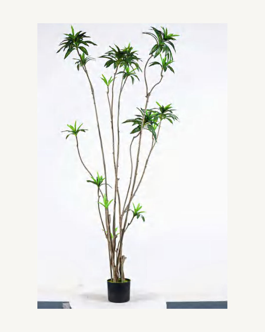 Orvieto Artificial Dracaena Tree, full product studio view in the included nursery pot