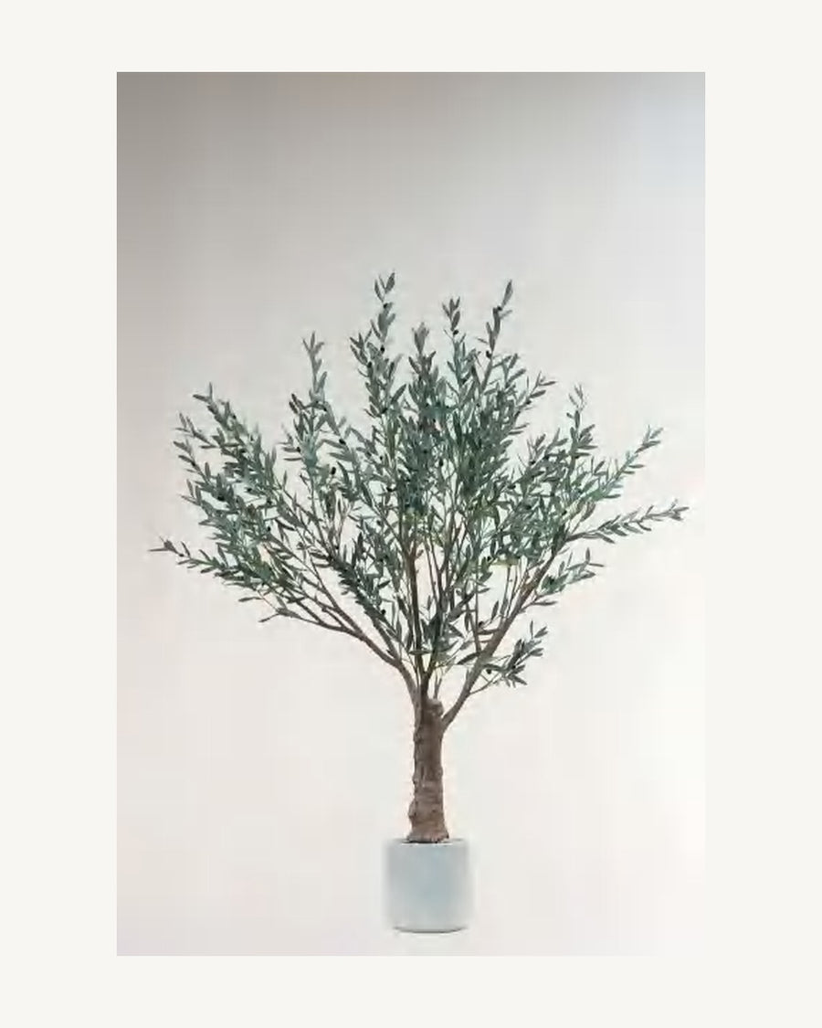 Orvieto Artificial Olive Tree, full product studio view in the included nursery pot